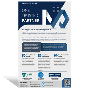 One trusted partner strategy security & compliance flyer.